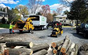 Landscape Design and Installation in Morningside, MD